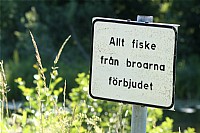 IMG_1663(1).jpg