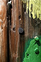 IMG_5529.jpg