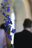 IMG_7477.jpg