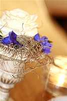 IMG_7734.jpg