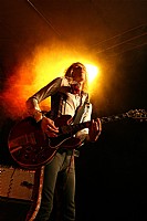 live3.jpg