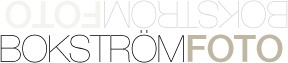 Bokstr�m FOTO logotype